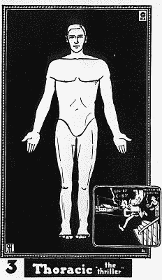 Benedict 1921: full-figure plate for the Thoracic type