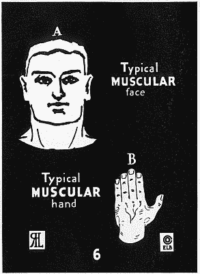 Benedict 1921: typical face and hand for the Muscular type